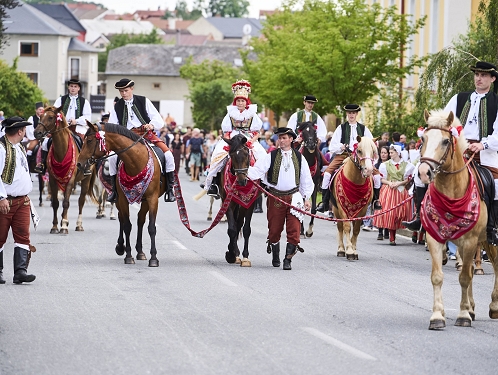 Doloplazy ožijí Jízdou králů. Haná se opět vrátí ke svým kořenům