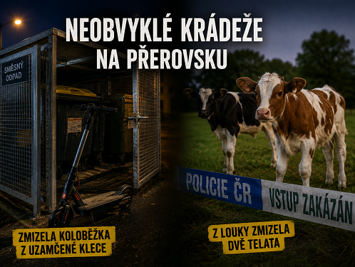 Přerovsko hlásí neobvyklé krádeže. Zmizela koloběžka z klece i telata z louky