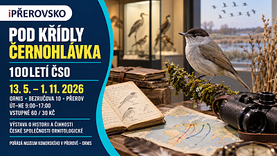 POD KŘÍDLY ČERNOHLÁVKA
