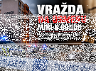 Vražda na Osmeku míří k soudu. Kriminalisté navrhli obžalovat muže ze zastřelení 53letého