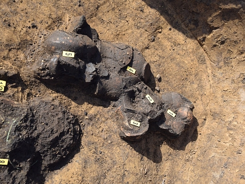 Archeologové na trase D55 odkryli tisíce let historie. Prozkoumali téměř dva tisíce objektů