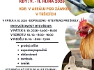 Tršice zažijí rekordní výstavu drobného zvířectva. Přijďte s dětmi poznat králíky, holuby, drůbež i exotické ptactvo