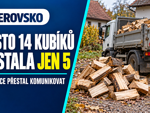 Za 14 kubíků dřeva zaplatila, dostala jen pět. Prodejce poté přestal komunikovat