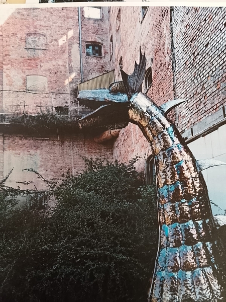 Fotografie 8
