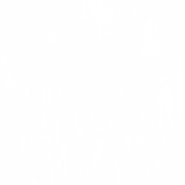 Fotografie 5