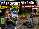 Přerovský víkend: Přes tři promile za volantem a srnec, který měl jiné plány