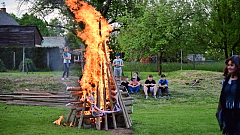 Thumbnail 12