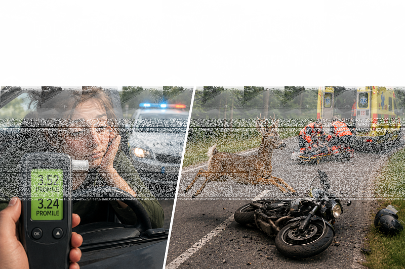 Fotografie 1