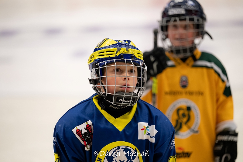 Fotografie 8
