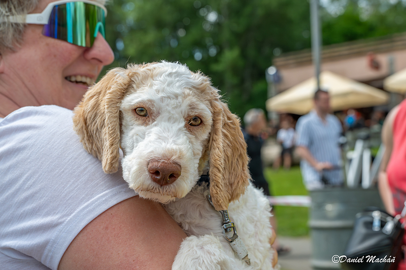 Fotografie 11