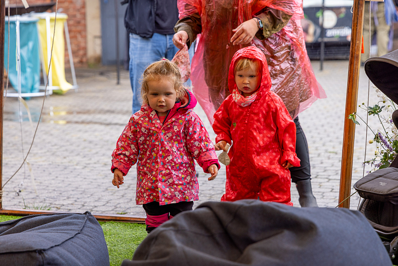 Fotografie 31
