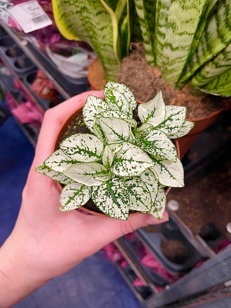 Fotografie 2